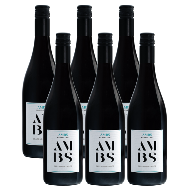 Weingut Ambs, Edition, Sptburgunder 2021 (6 fl.)
