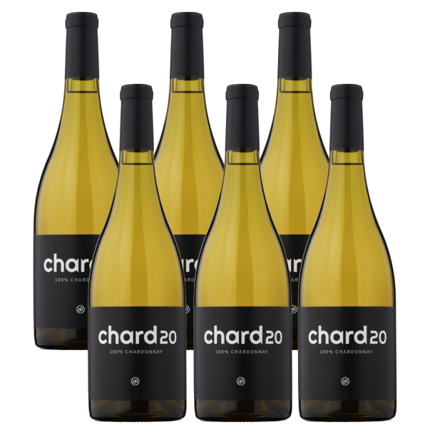 Rebel Ridge Chard20/22 (6 styk)