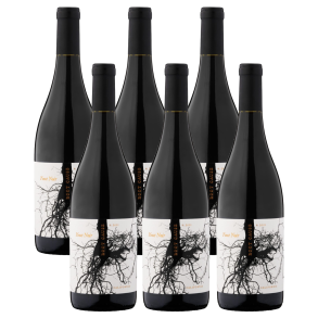 Root Cause Pinot Noir 2021 (6 fl.)