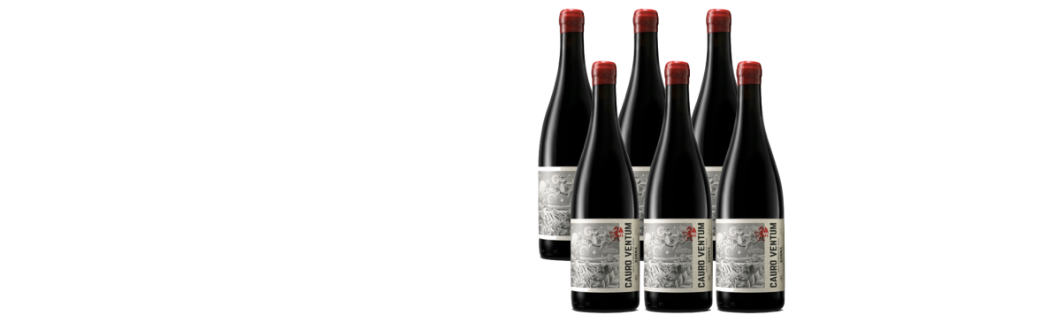 Bodegas Saura, Cauro Ventum 2024