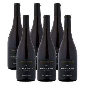 Underdog Protocol Pinot Noir 2023 (6styk)