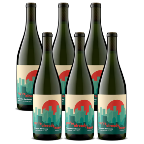 Field Recordings, Youre already home, Chardonnay 2022 (6 fl.)