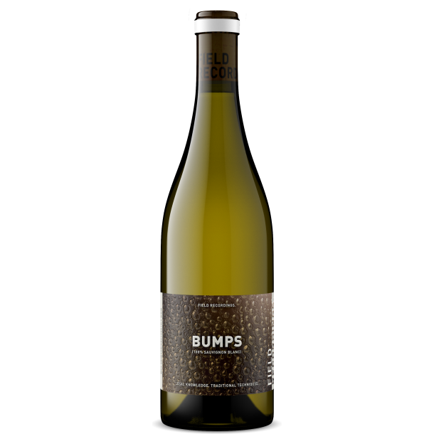 Field Recordings, Bumps, Sauvignon Blanc 2025