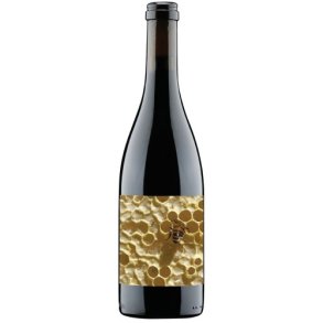 Herman Story, Casual Encounters 2019