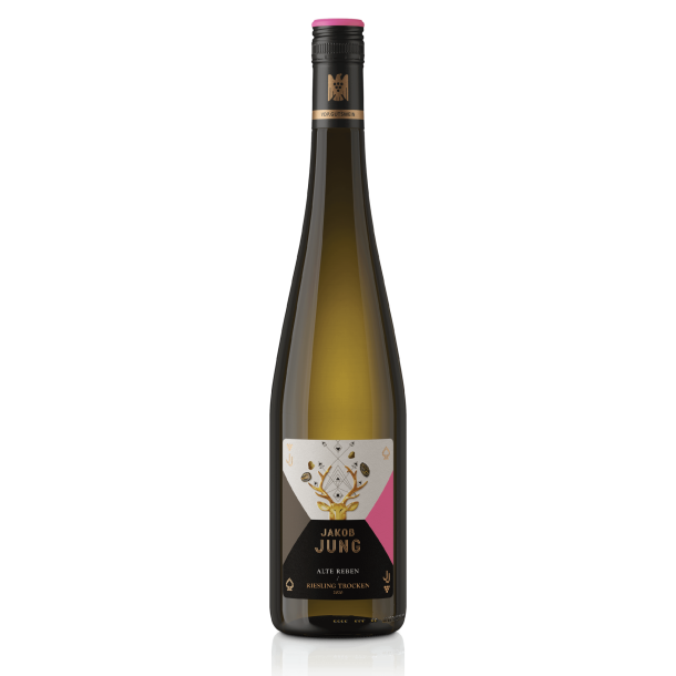 Jakob Jung, Alte Reben, Riesling Trocken 2024