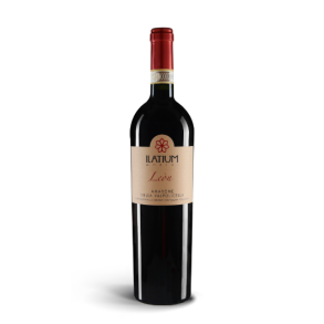 Latium, Campo Leon, Amarone 2019