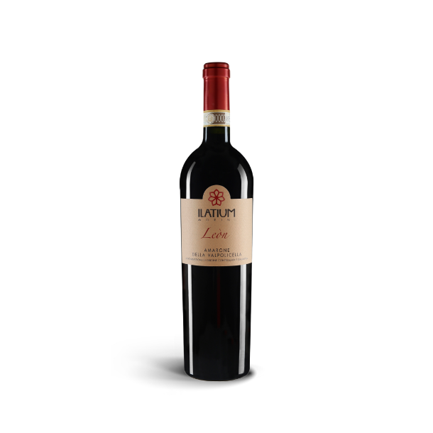 Latium, Campo Leon, Amarone 2019