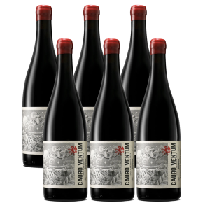 Bodegas Saura, Cauro Ventum 2024 (6 fl.)