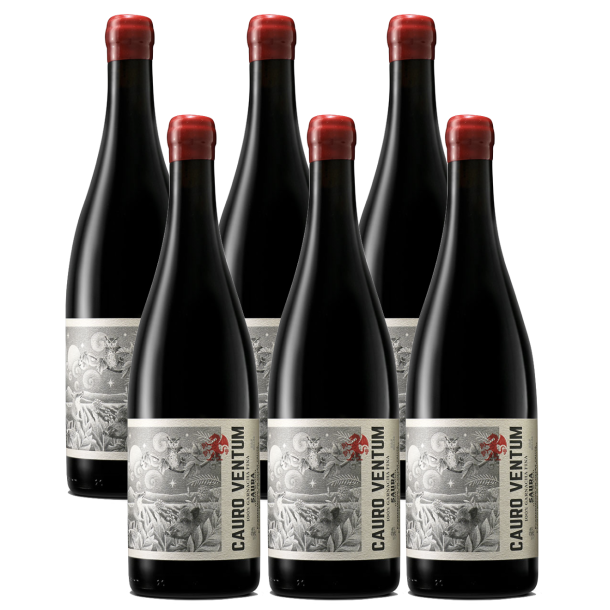 Bodegas Saura, Cauro Ventum 2024 (6 fl.)