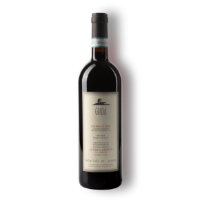 Andrea Oberto Barbera d'Alba 