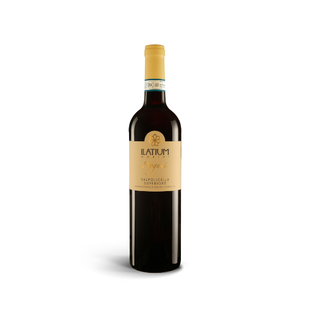 Latium "Campo Prognai" Valpolicella Superiore, 2019