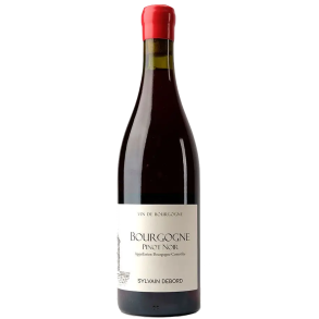 Sylvain Debord Bourgogne Pinot Noir 2023