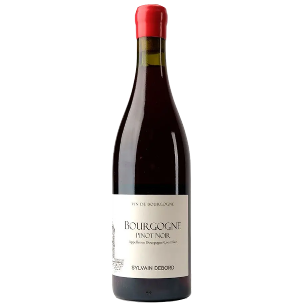 Sylvain Debord Bourgogne Pinot Noir 2021